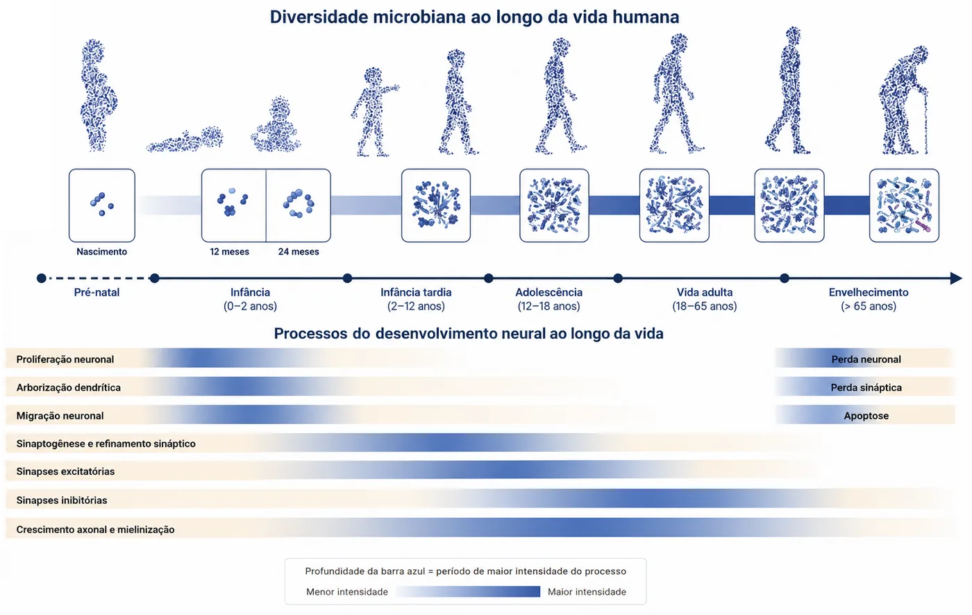 Diversidade microbiana ao longo da vida