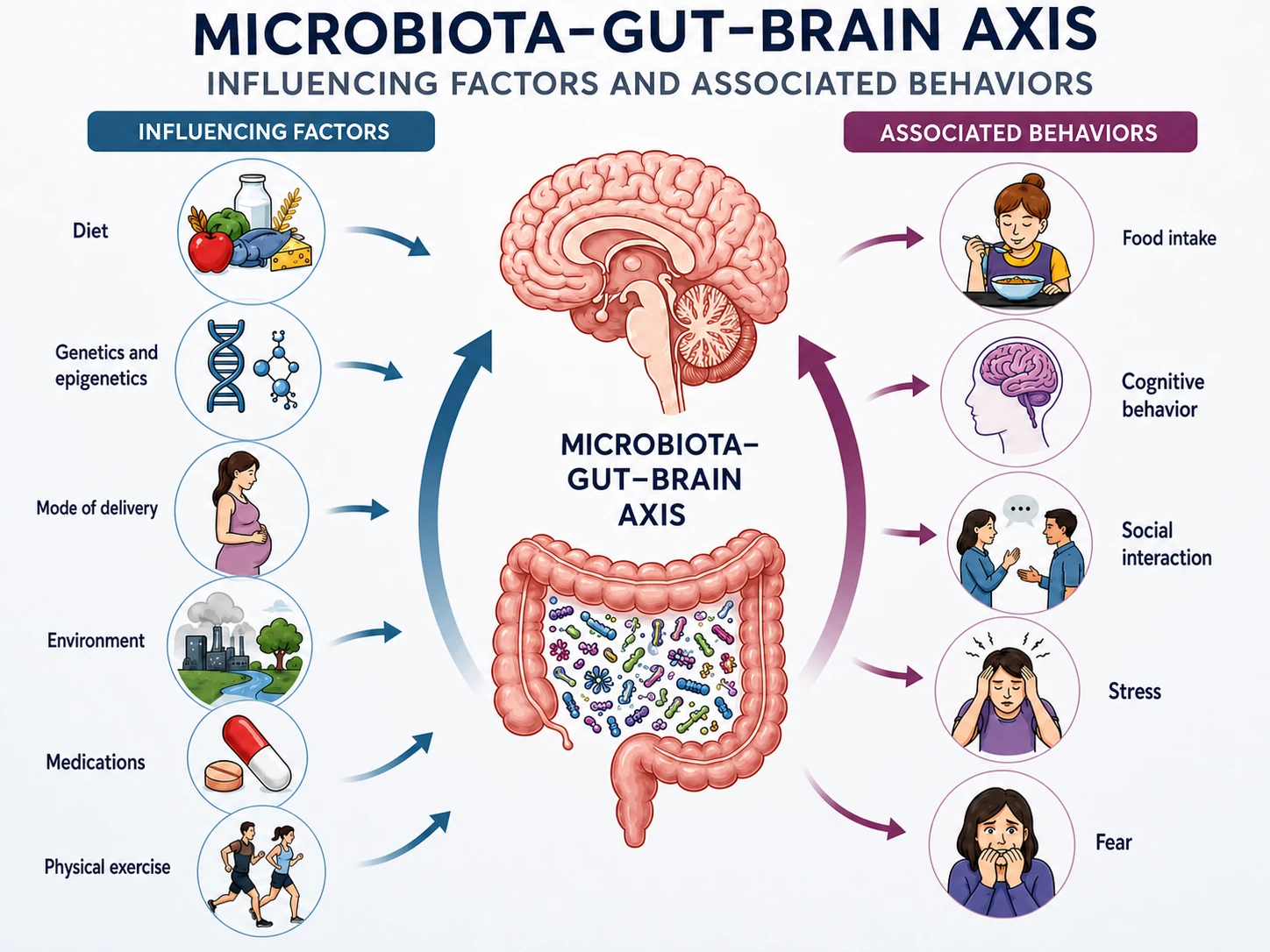 Illustration of the factors that shape the microbiota across the lifespan: diet, genetics, delivery mode, environment, medications and exercise, and the associated behaviors
